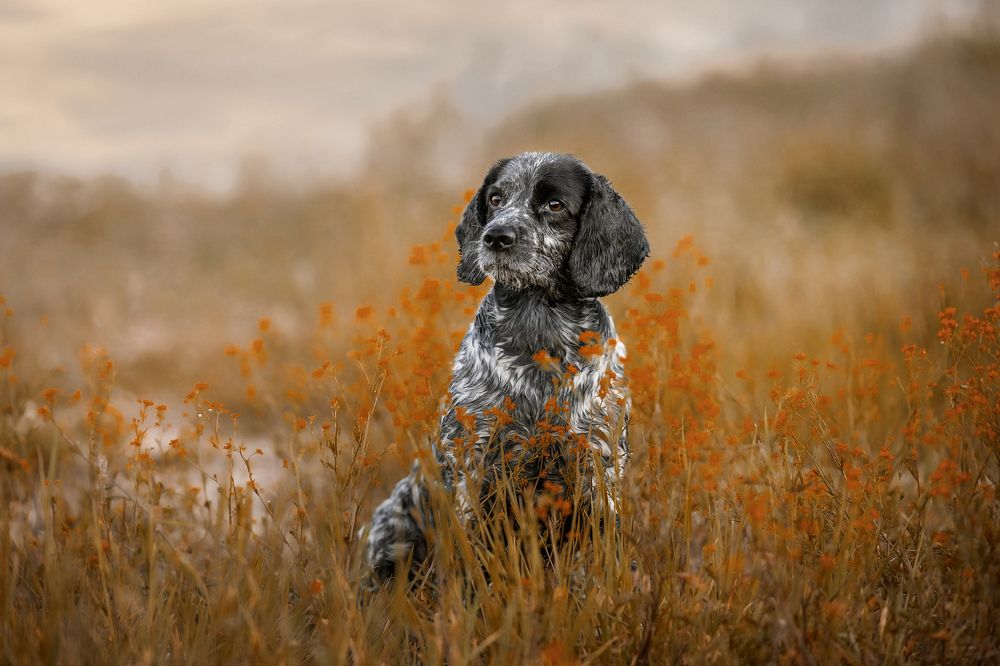 Photograph by Татьяна Тихомирова