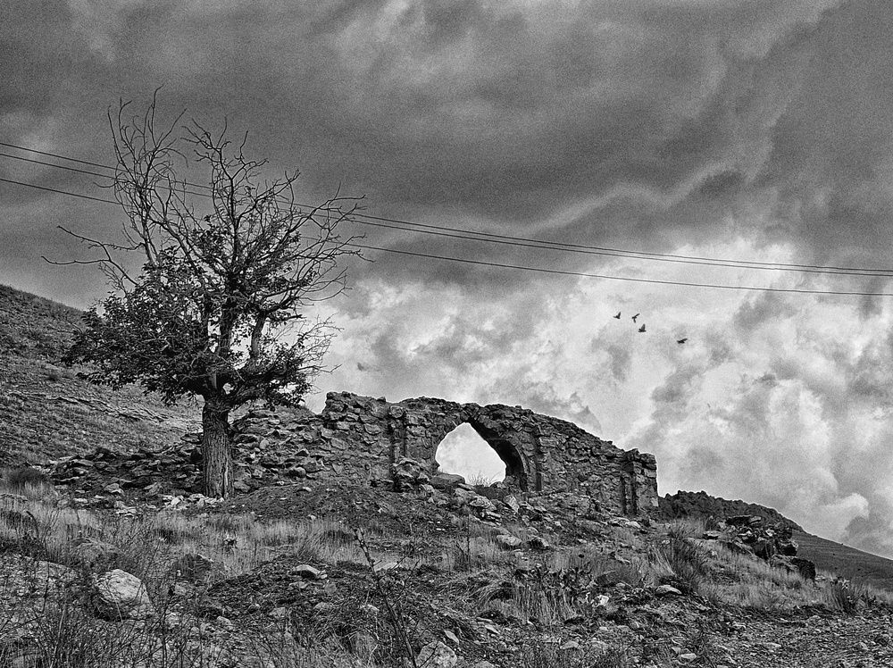 Фотография автора Samane Naji