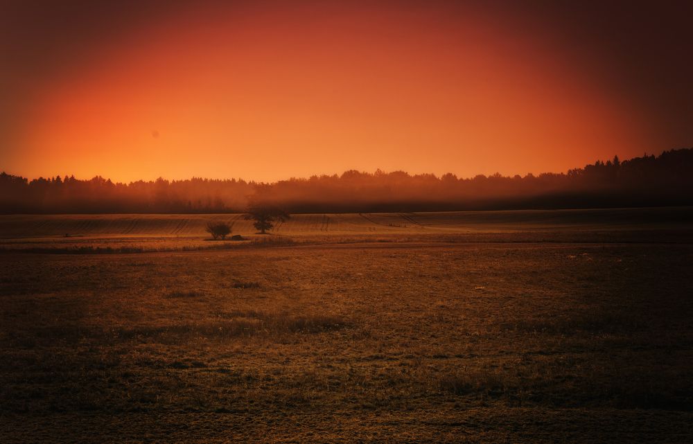 Фотография автора Lija Mežecka