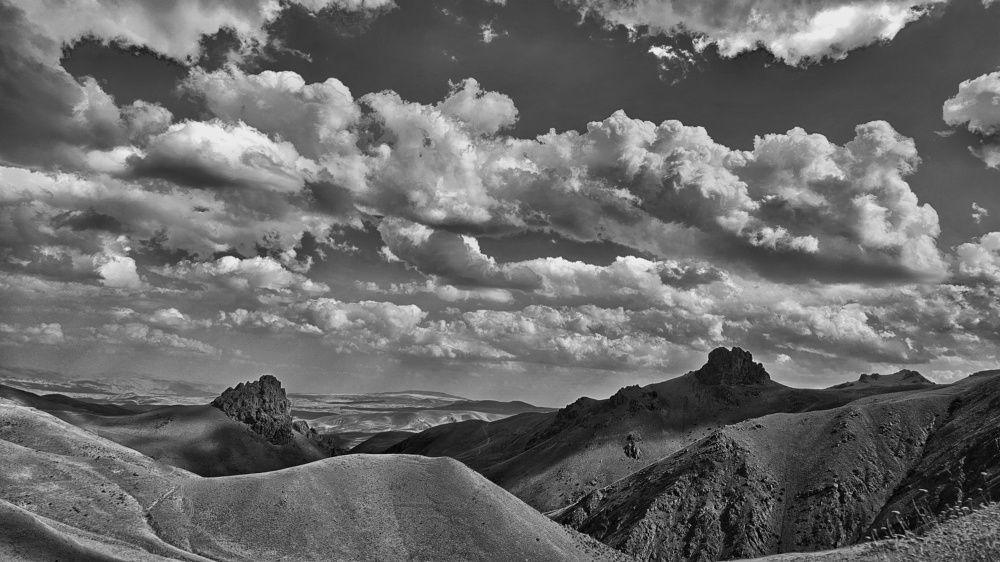 Фотография автора Samane Naji