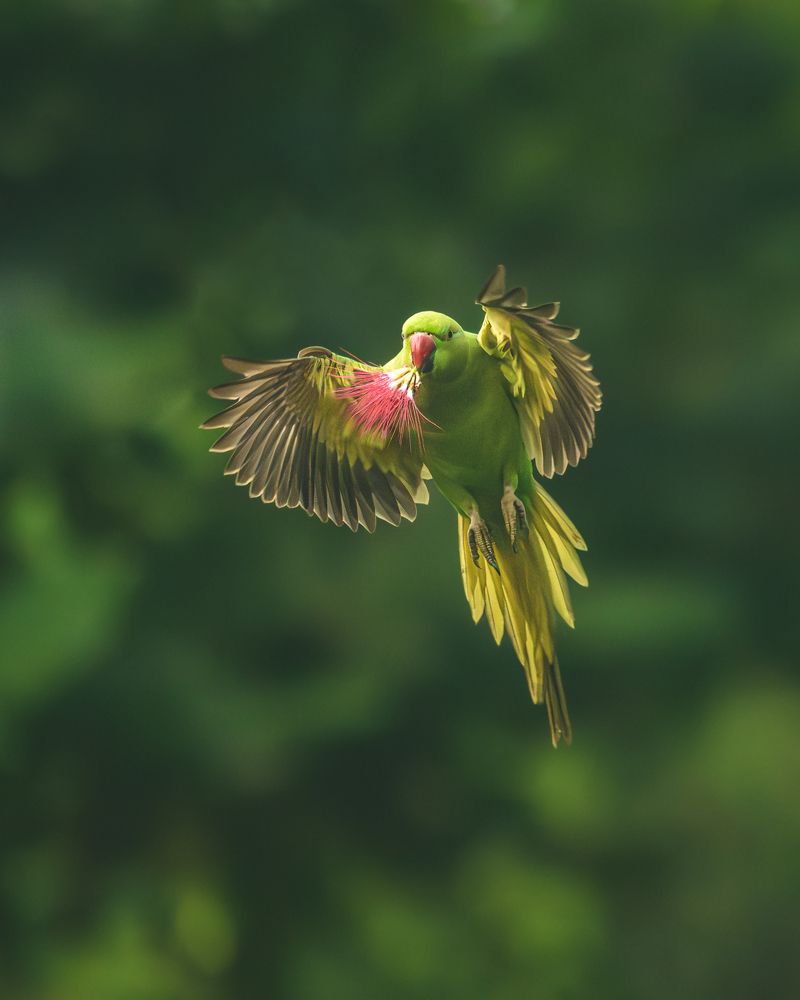 Photograph by Siddhartha Roy Choudhury