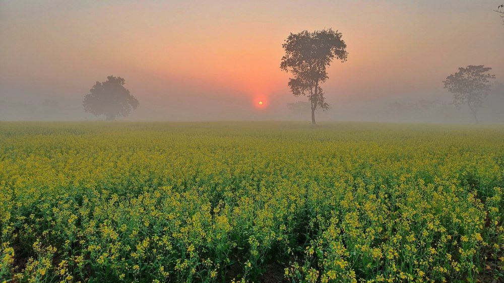 Photograph by Khirud Borah
