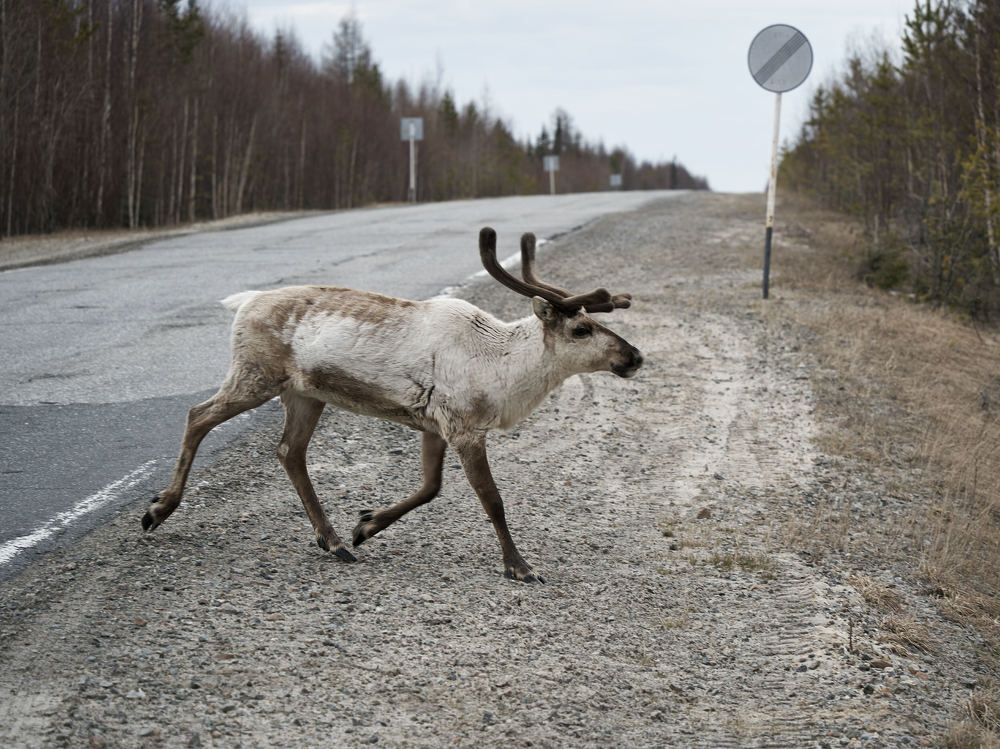 Photograph by Alexandr Klyuev