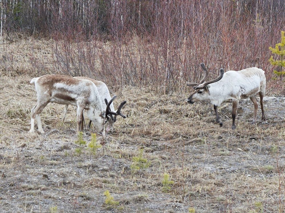Photograph by Alexandr Klyuev