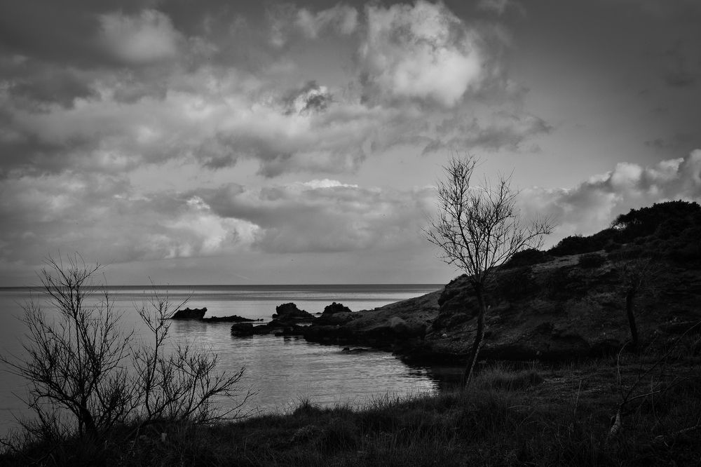 Photograph by Eftychia Vlachonatsou