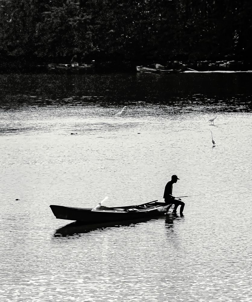 Фотография автора Walfrido Alexandre