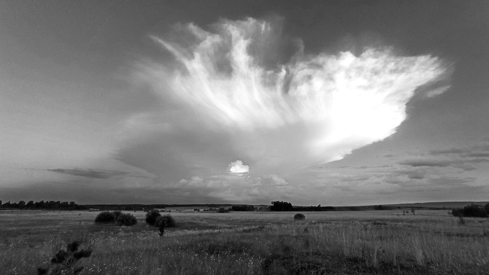 Photograph by Екатерина