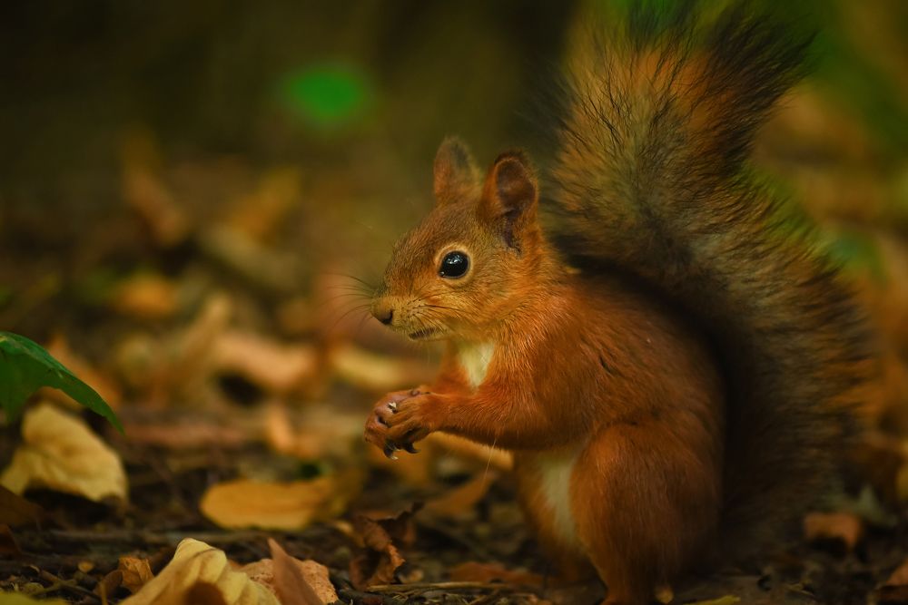 Photograph by Кос Виктория