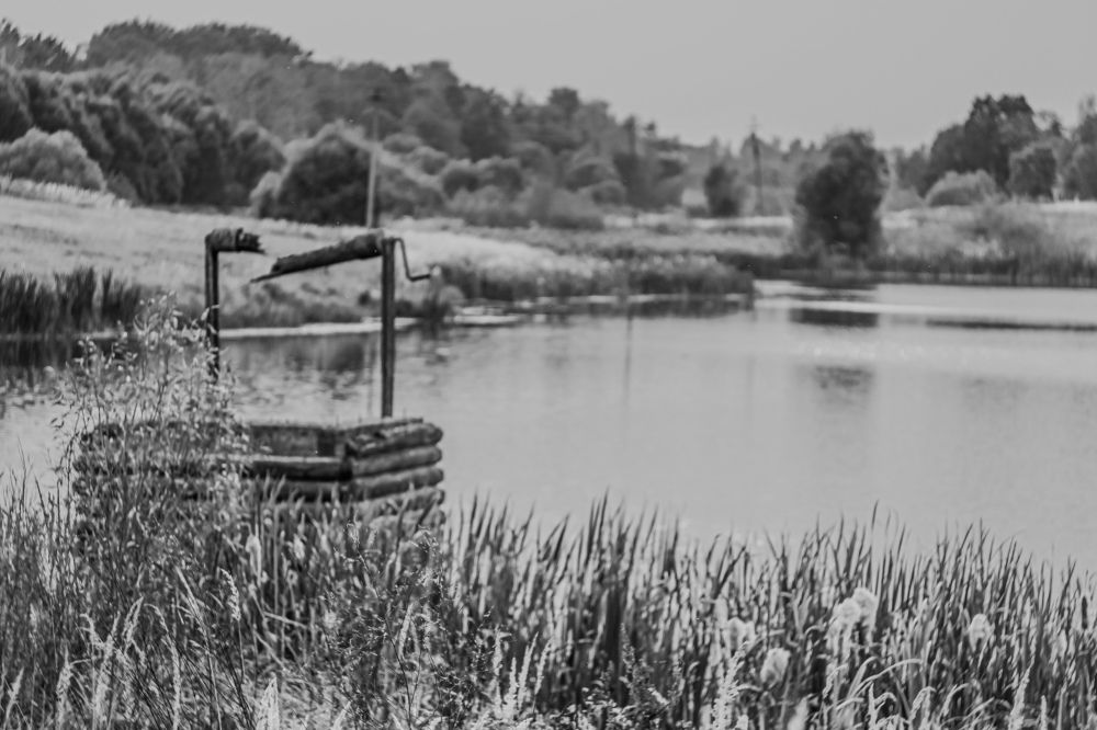 Photograph by Елена Квасова