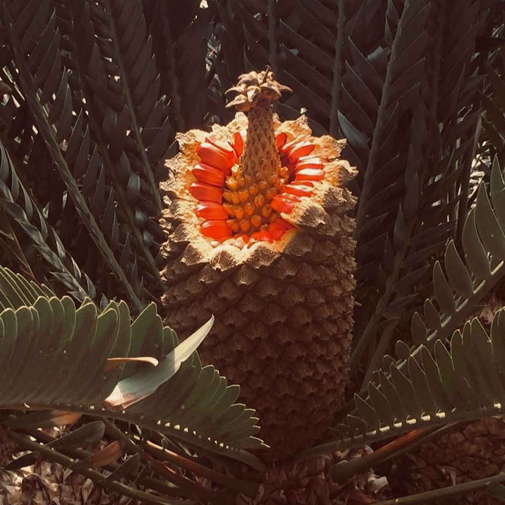 Photograph by Наталия Любчикова