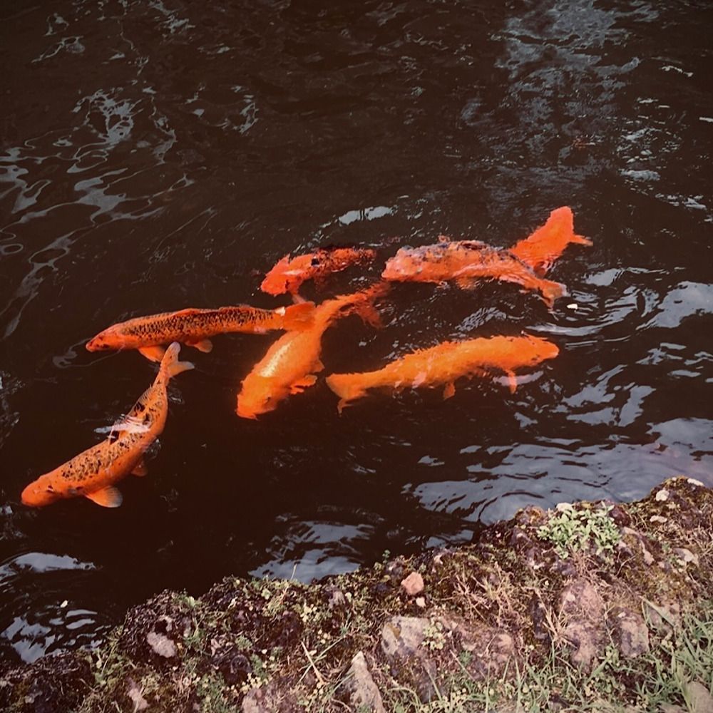 Photograph by Наталия Любчикова