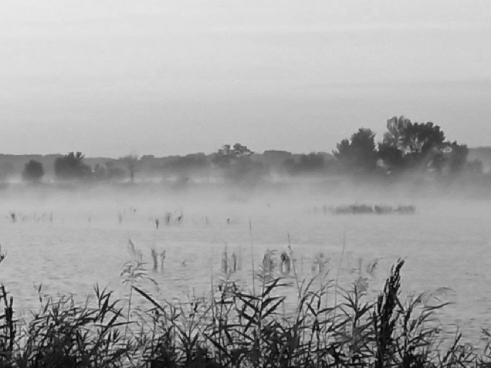 Photograph by Алексей Коношонкин