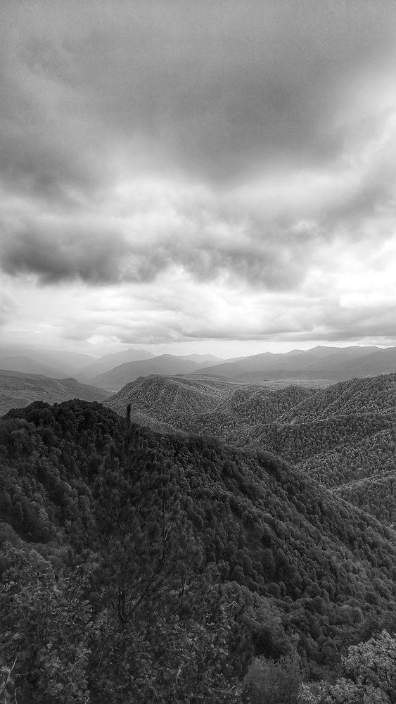 Photograph by Юлия Коробкова