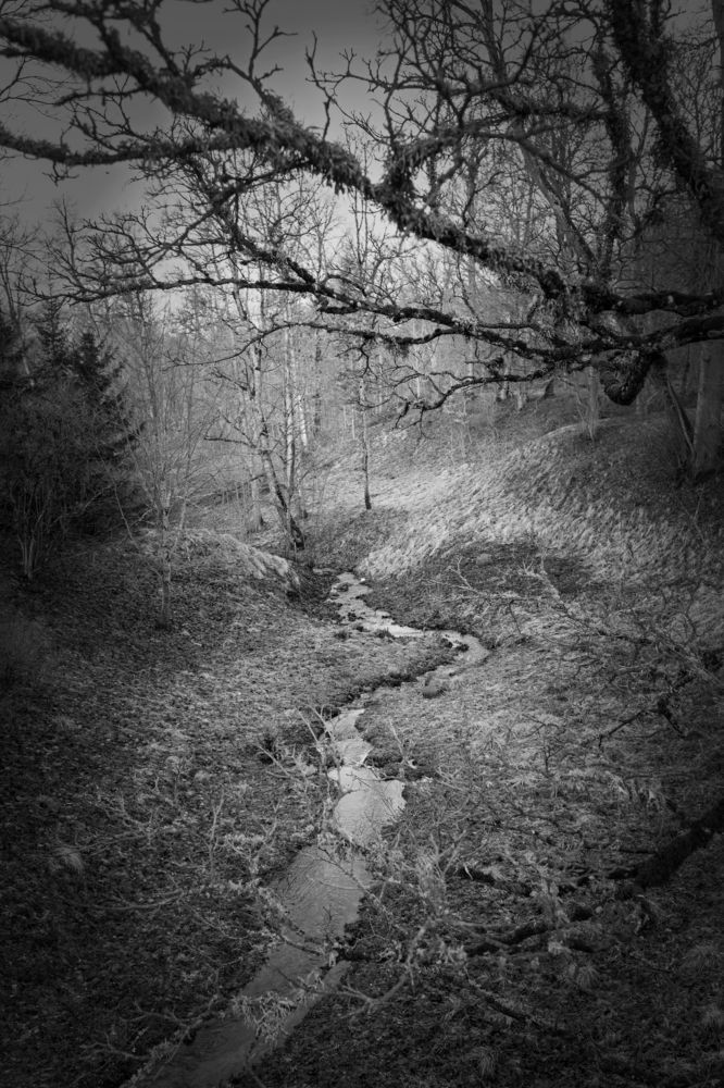 Фотография автора Lija Mežecka