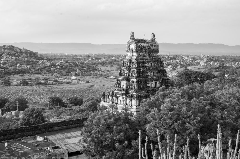 Фотография автора Kirtesh Mahant