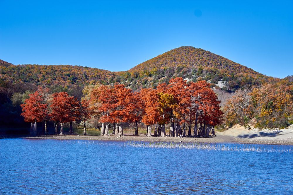 Photograph by Наталья Шевелева