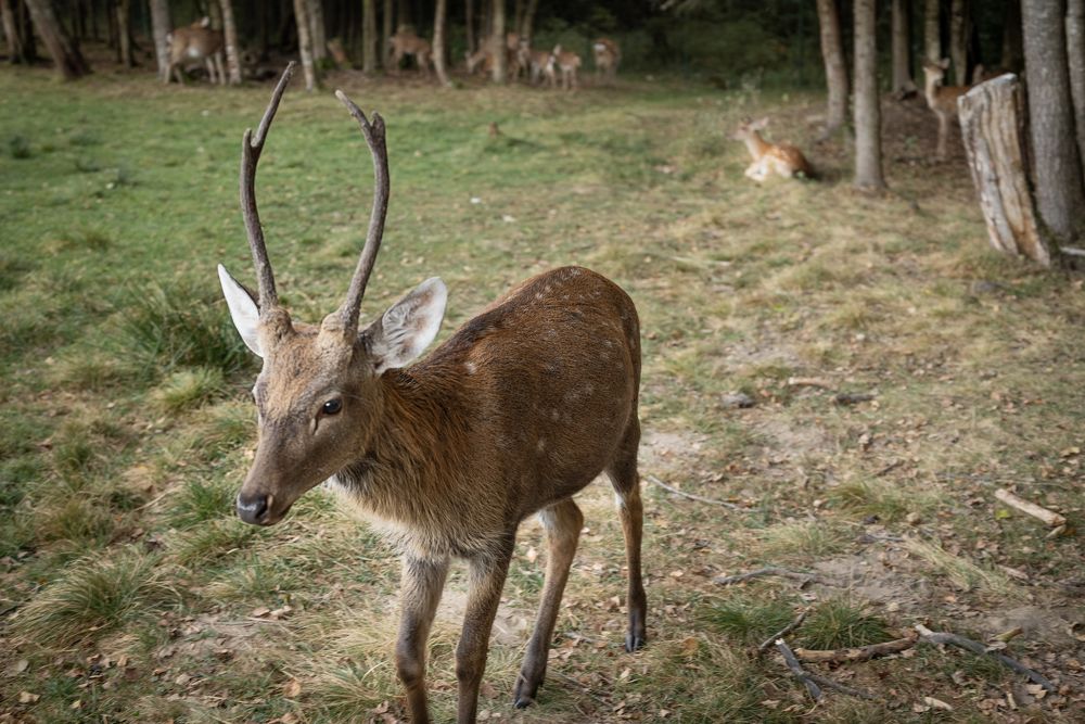 Photograph by Марина Шевцова