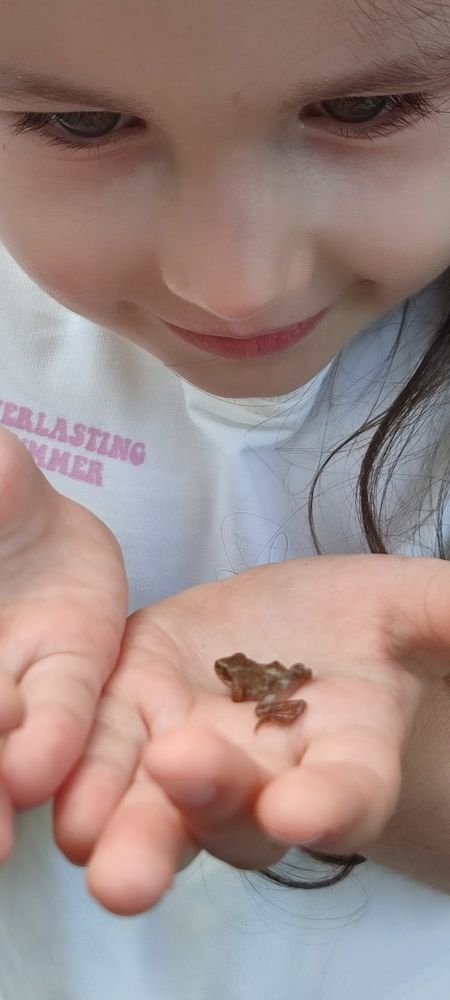 Photograph by Людмила Воропаева