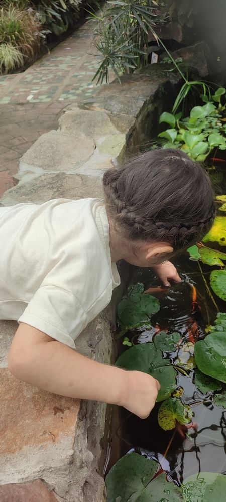 Photograph by Людмила Воропаева