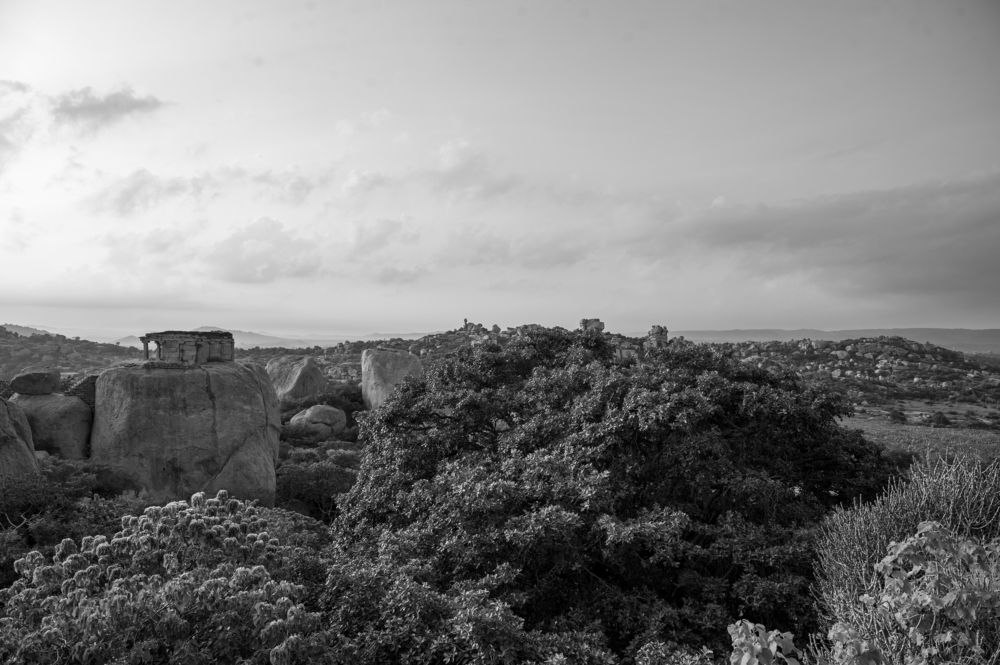 Фотография автора Kirtesh Mahant