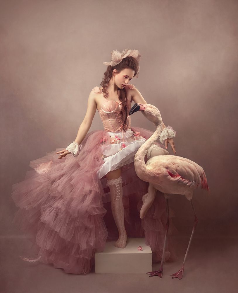 Photograph by San Vid Photography