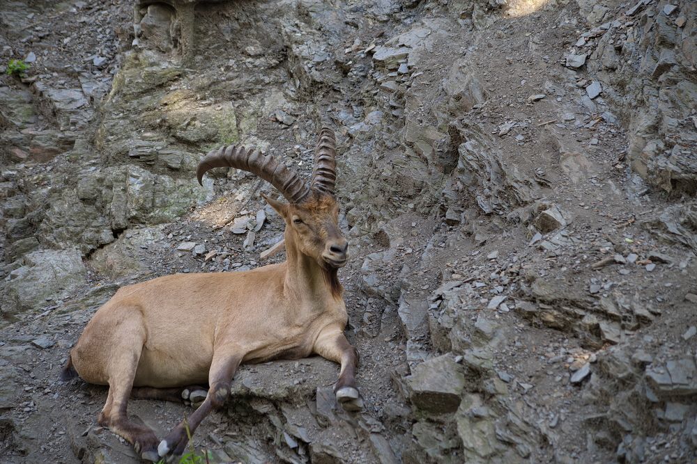 Photograph by Николай Фонарёв