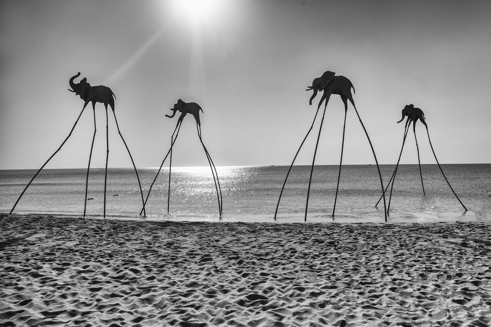 Photograph by Татьяна Назмутдинова