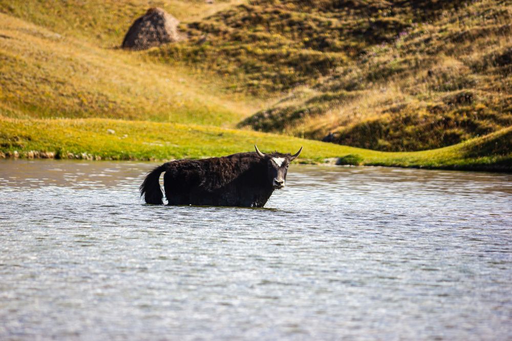 Photograph by Алексей Соколов