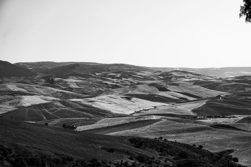 Фотография автора meciad mohamed amir eddine