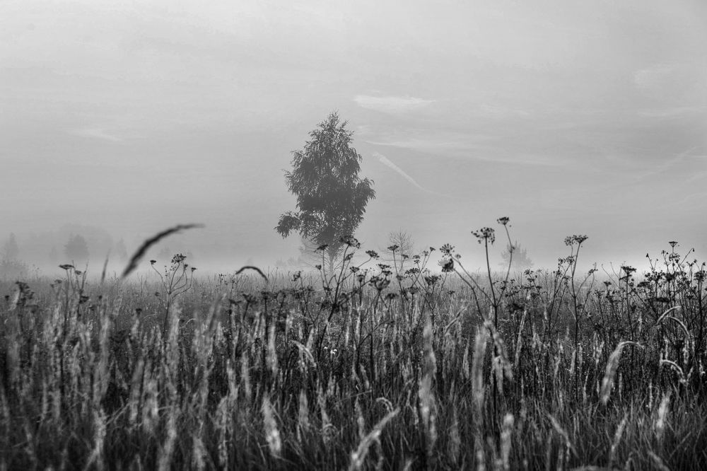 Photograph by Cергей Абакумов