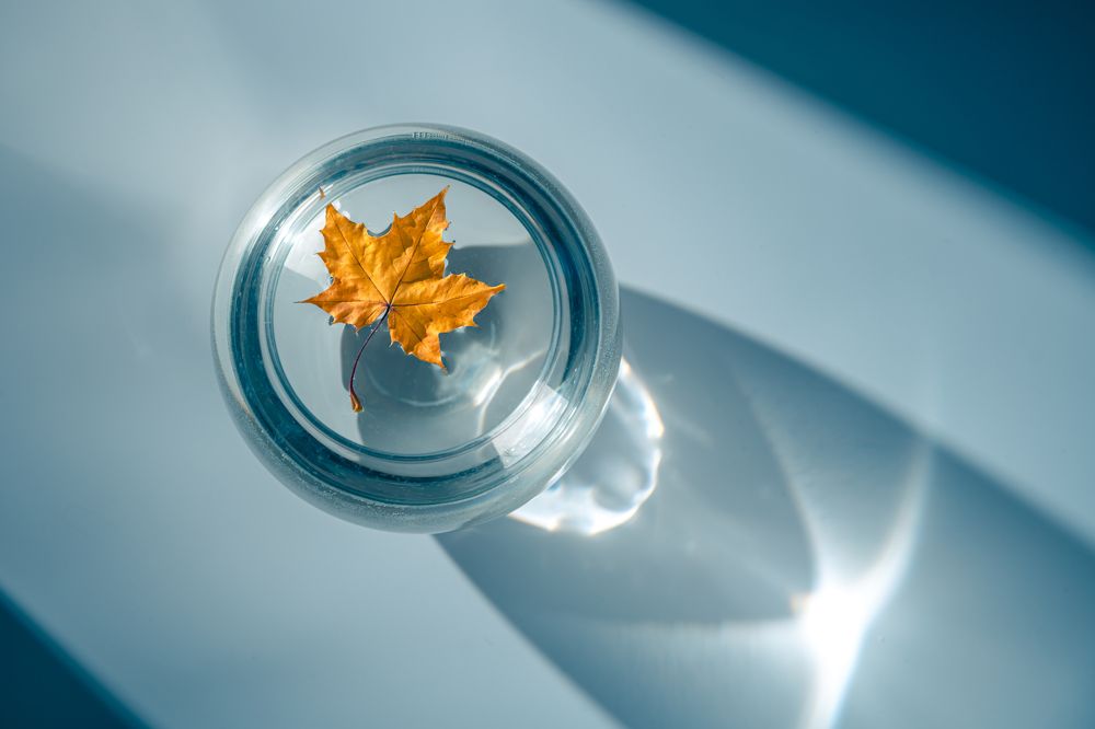 Photograph by Ольга Ильина