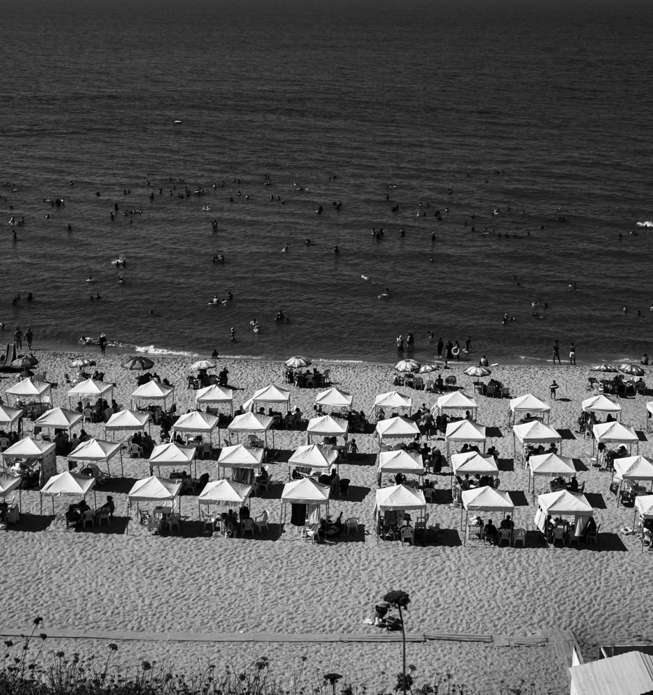 Фотография автора meciad mohamed amir eddine