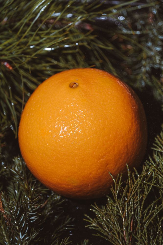 Фотография автора Вячеслав Афанасьев