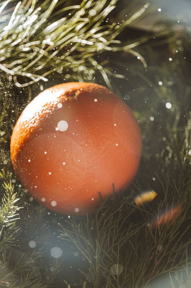 Фотография автора Вячеслав Афанасьев