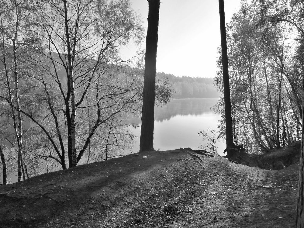 Фотография автора Клавдия Васильева