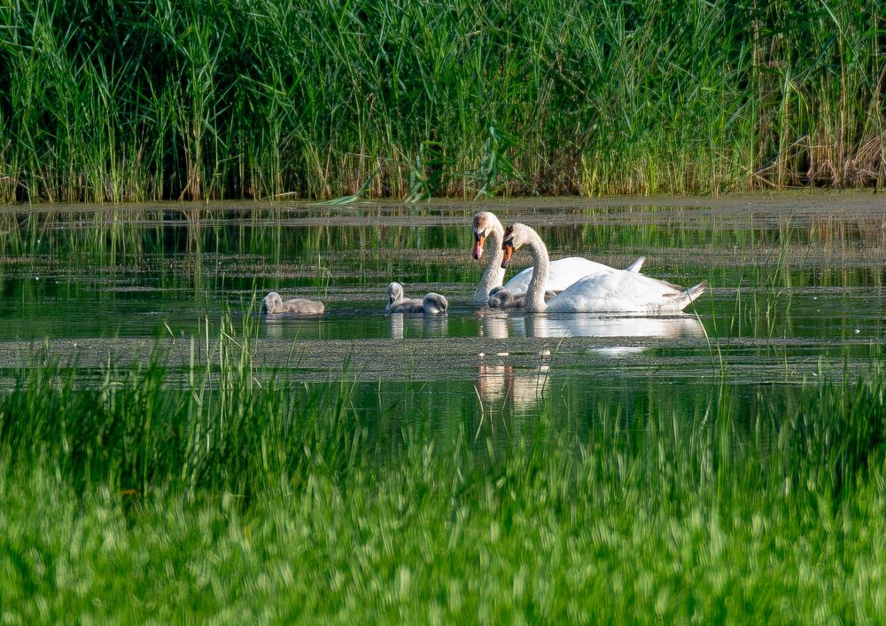 Фотография автора Иван Сыч