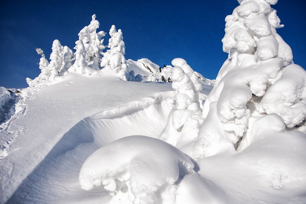 Photograph by Гордейко Анна