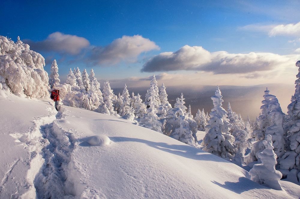 Photograph by Гордейко Анна