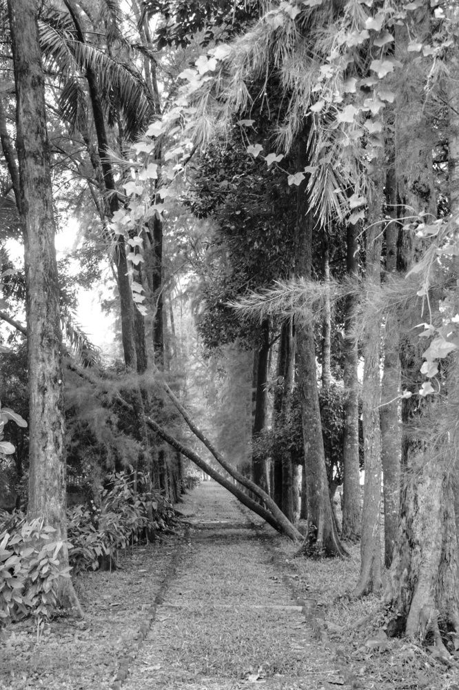 Фотография автора Sheuli Akther