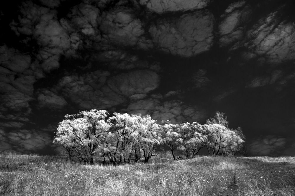 Фотография автора Васильева Дарья