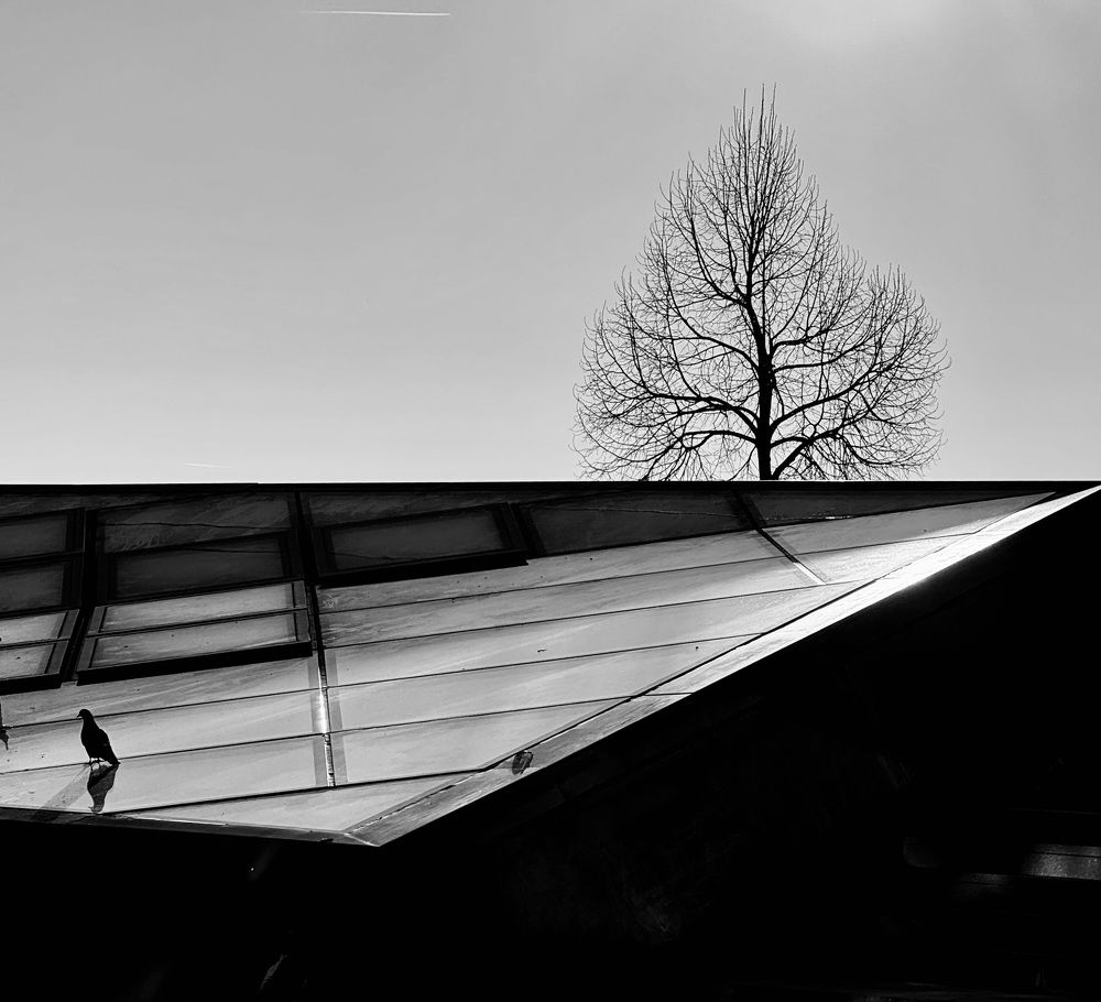 Winter light