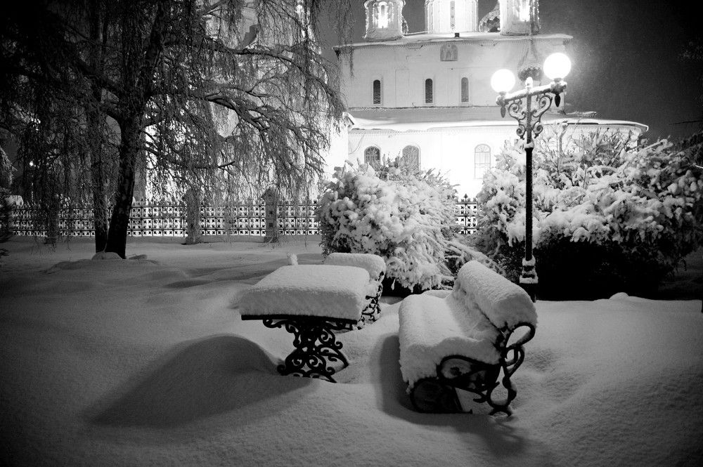 Фотография автора Васильева Дарья