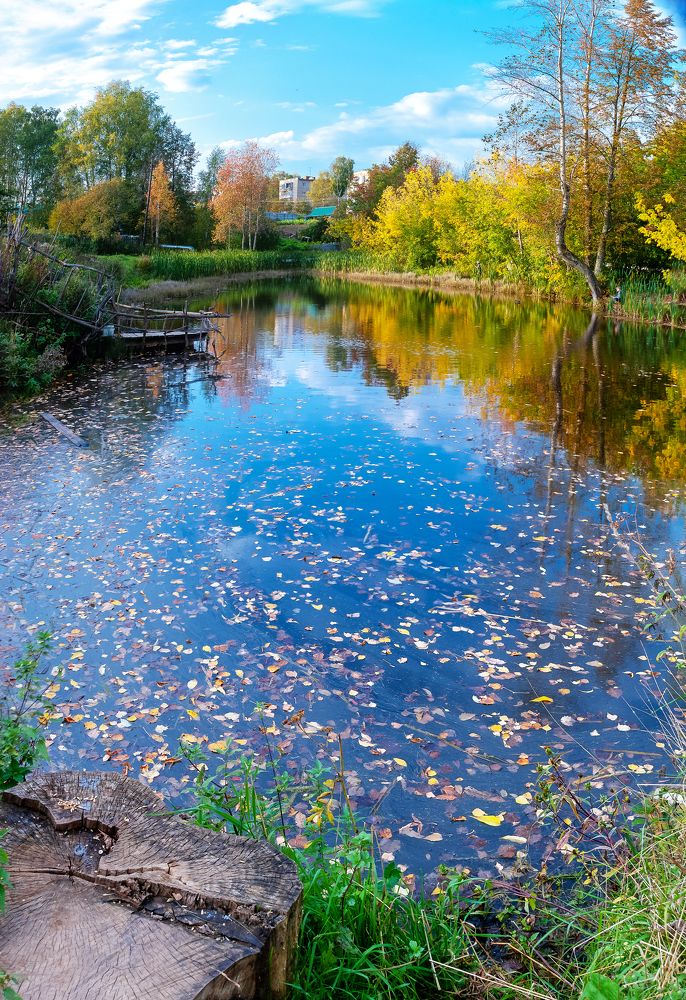 Photograph by Сергей Шистеров