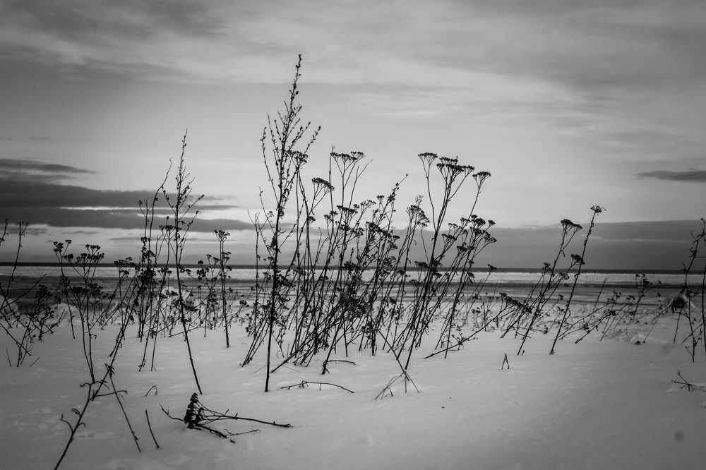 Photograph by Igors Rostikovs