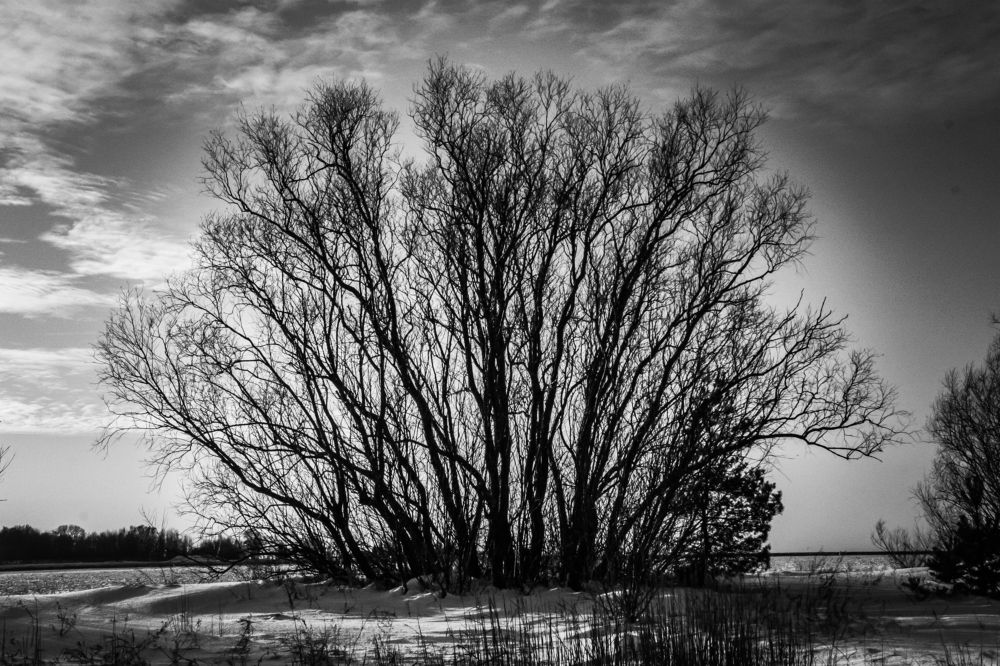 Photograph by Igors Rostikovs