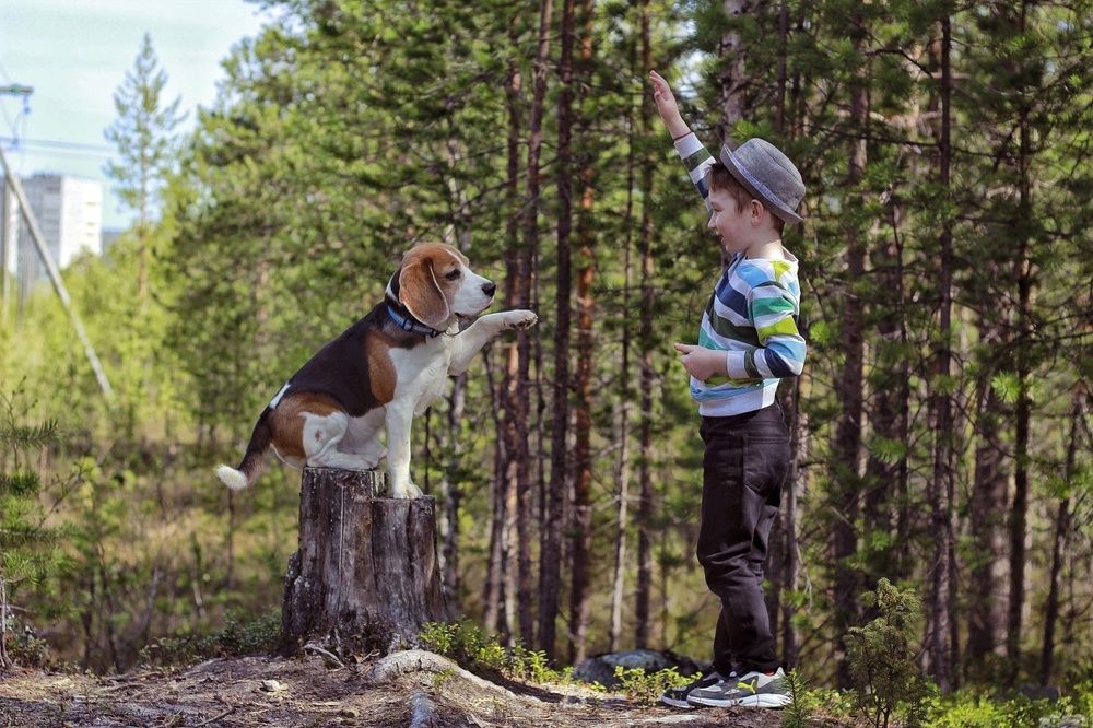 Photograph by Ирина Ахбаш