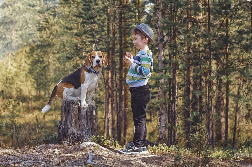 Photograph by Ирина Ахбаш