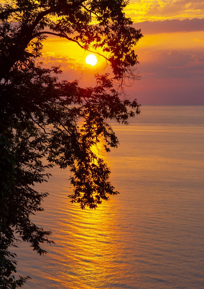 Photograph by vakhtang egiazarov