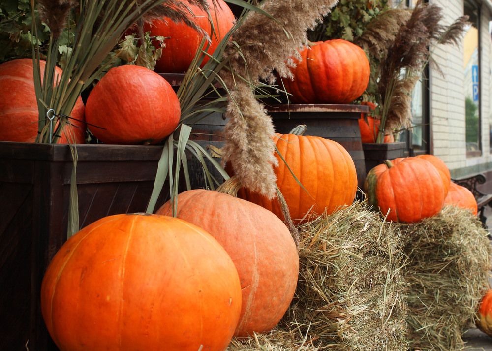 Photograph by владимир Заворотный