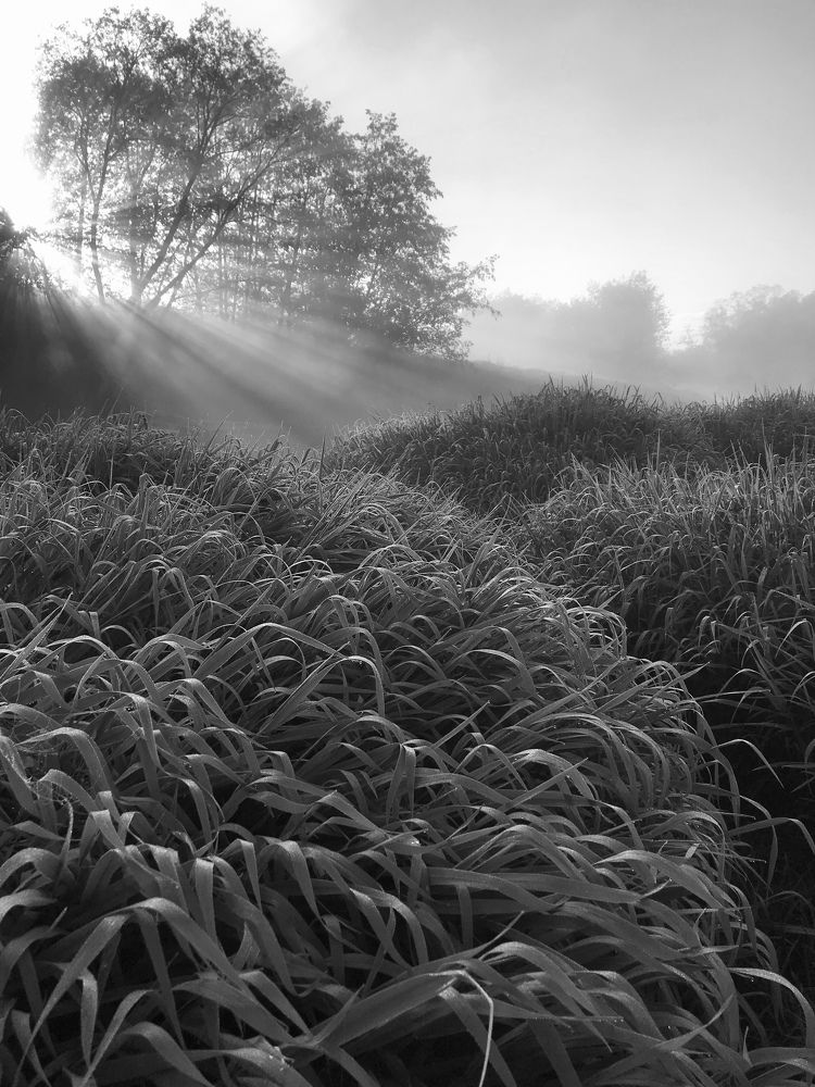 Photograph by Ольга Струкалина